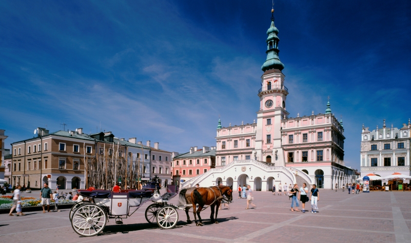 ZAMOŚĆ - 1 dzień