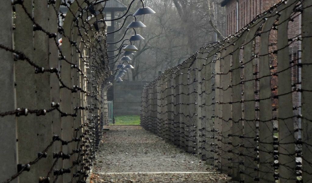 AUSCHWITZ-BIRKENAU - 1 dzień