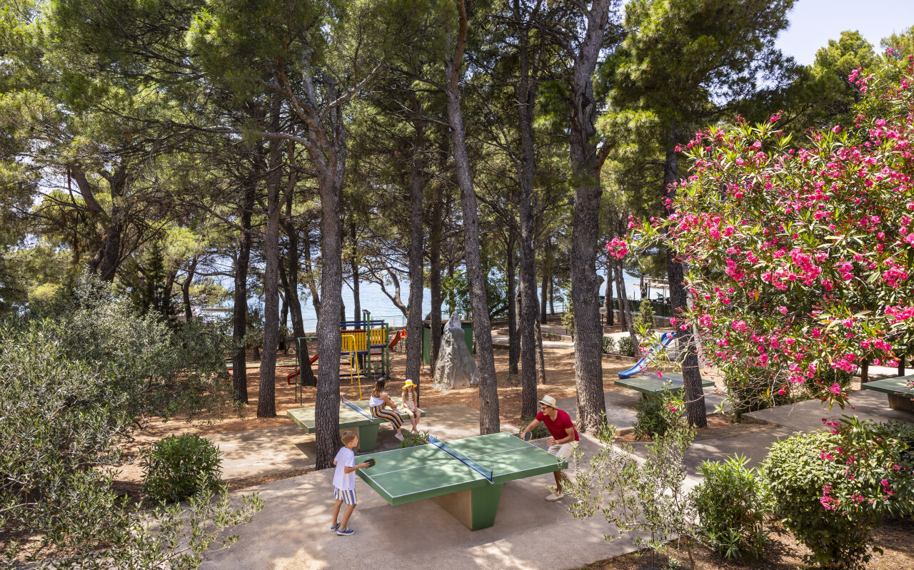 SUNNY MAKARSKA BY VALAMAR DOJAZD WŁASNY