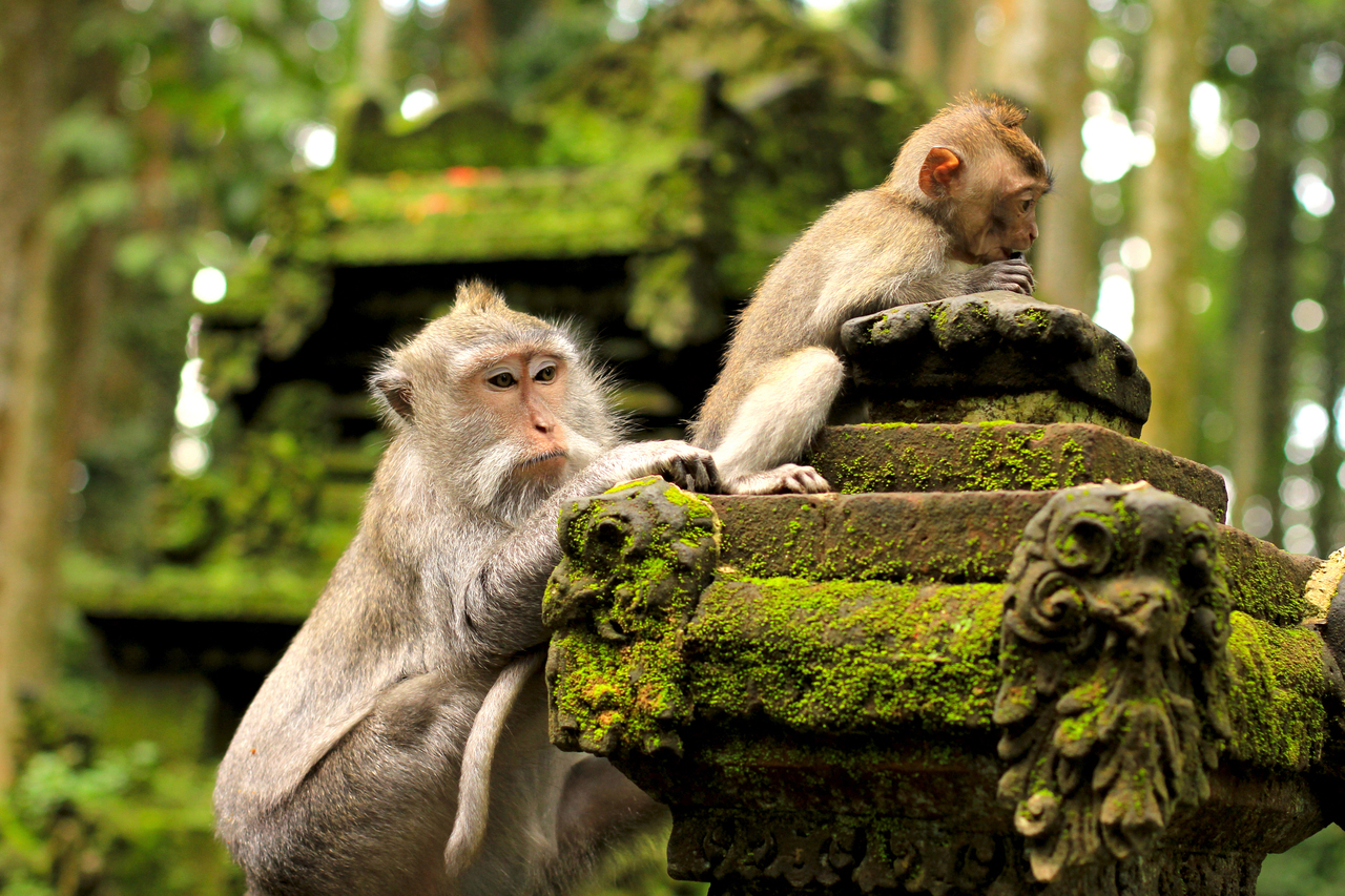 Bali - Ferie +30°C zamiast -10°C - wylot z Warszawy