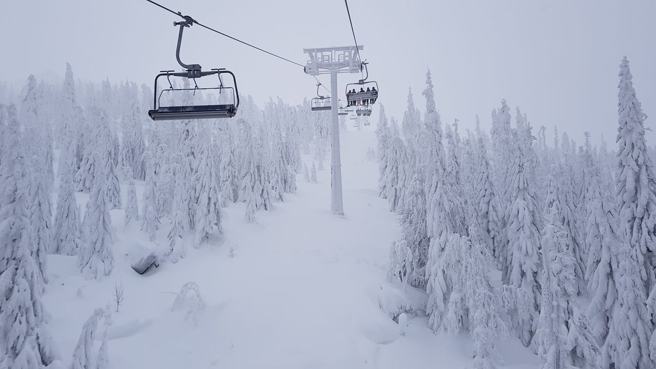 Korbielów - obóz snowboardowy