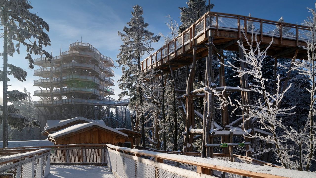 Krynica-Zdrój - obóz snowboardowy