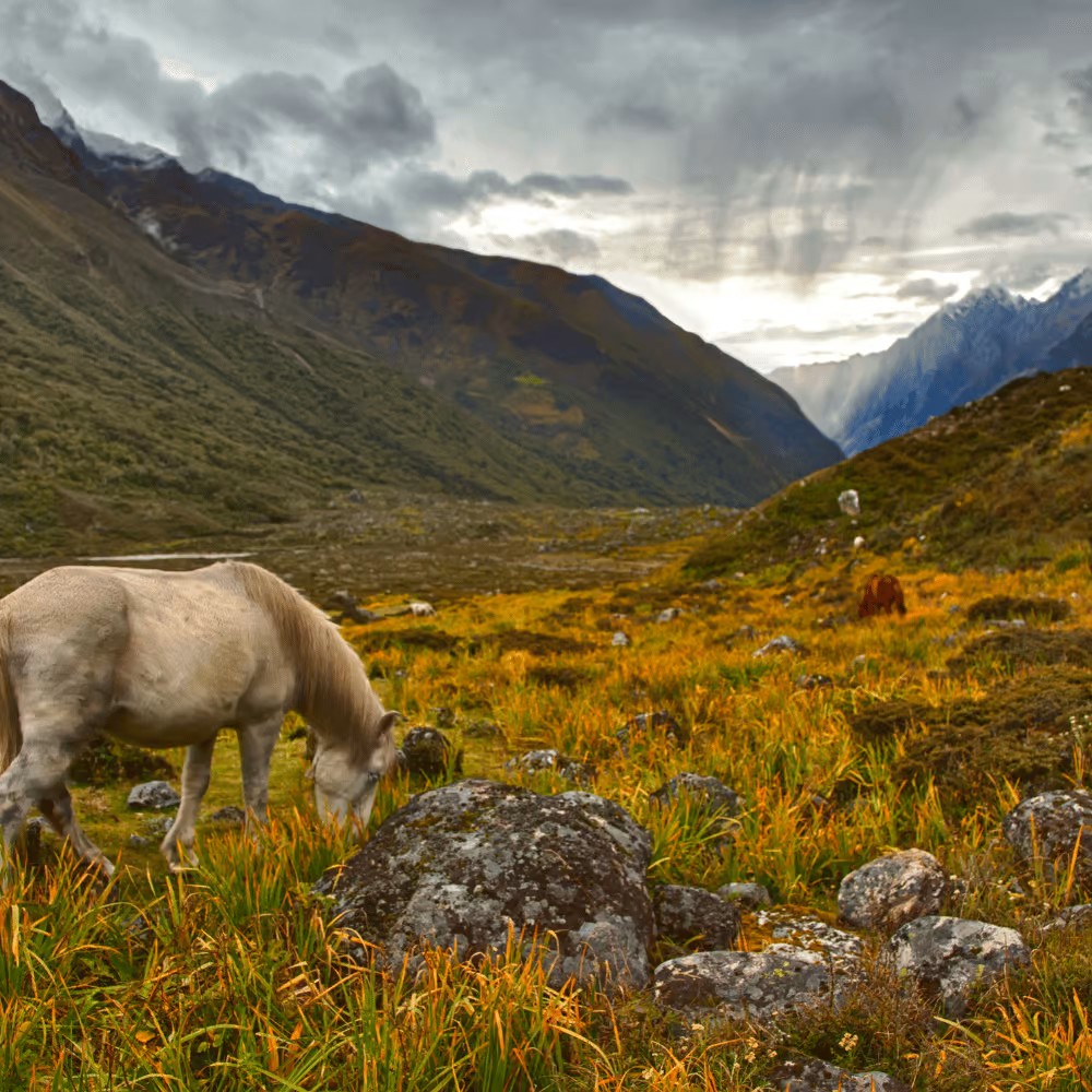 Dolina Langtang – trekking w sercu Himalajów