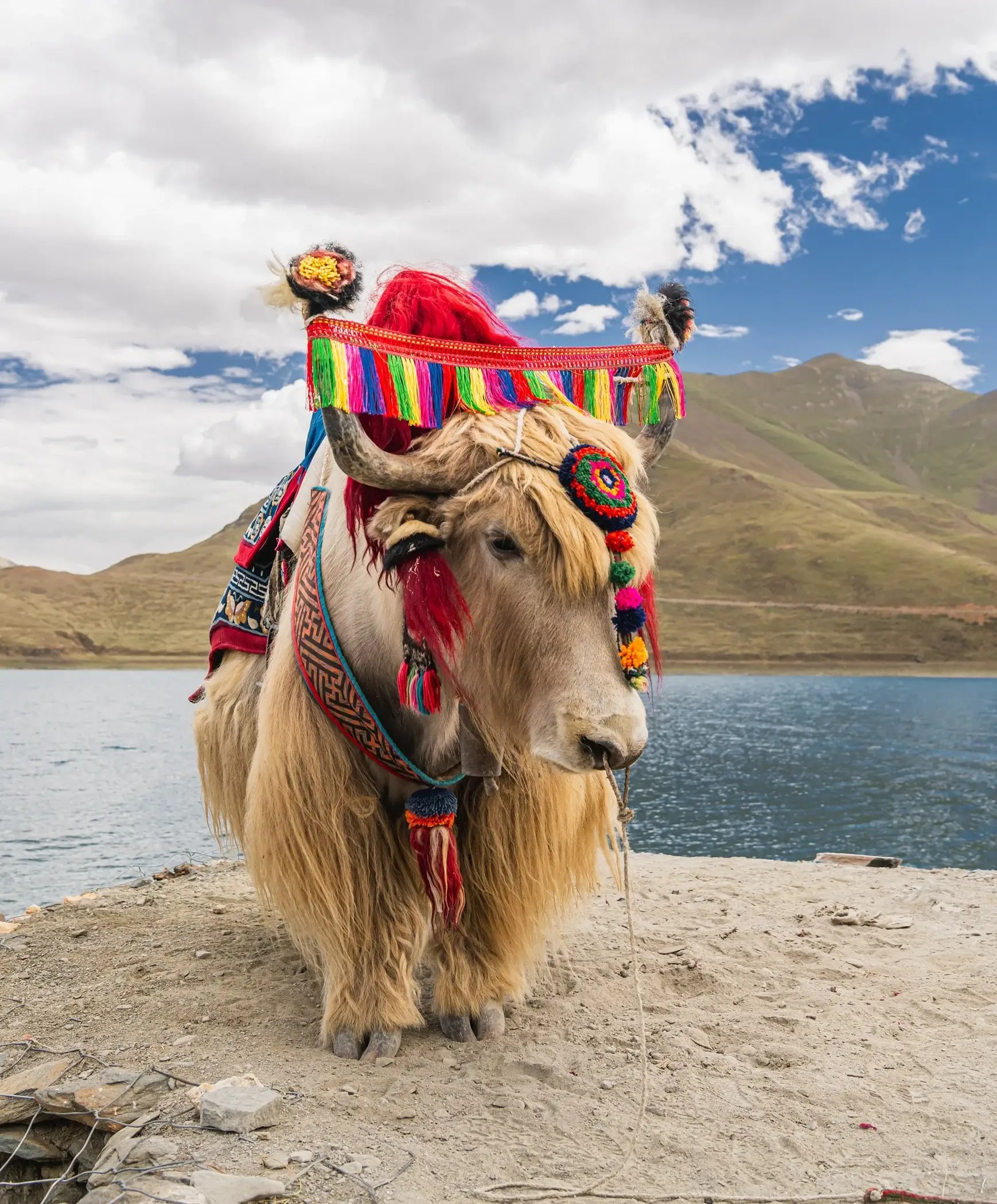 Wyprawa do Tybetu - Klasztory, Everest i Pałac Potala