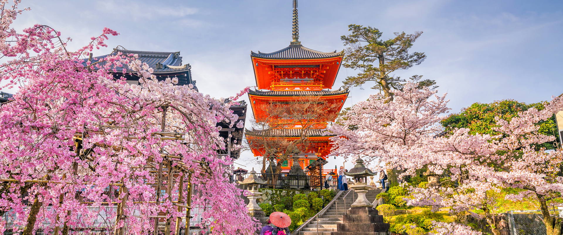 JAPONIA dla koneserów (19 dni)