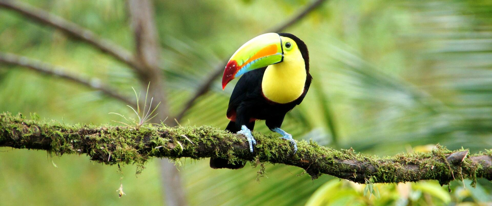 PANAMA – KOSTARYKA – NIKARAGUA – SALWADOR – HONDURAS – GWATEMALA – BELIZE – MEKSYK