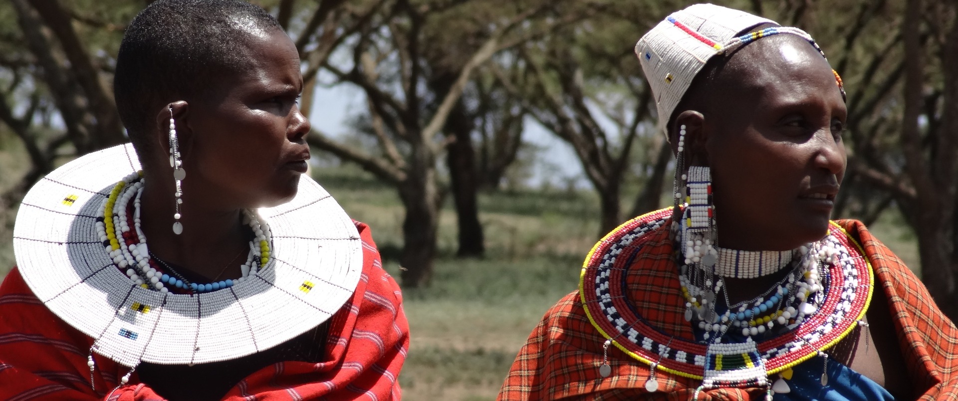 TANZANIA  - WIELKIE MIGRACJE (+ wyspa Pemba) dla koneserów