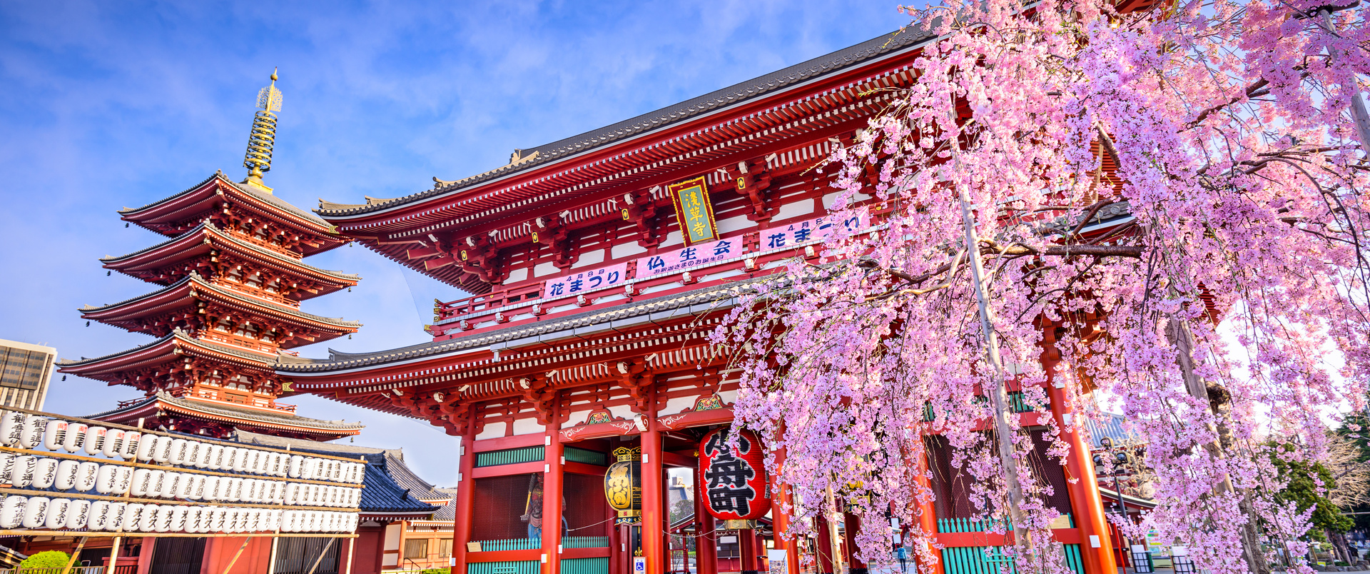 JAPONIA - 15 DNI