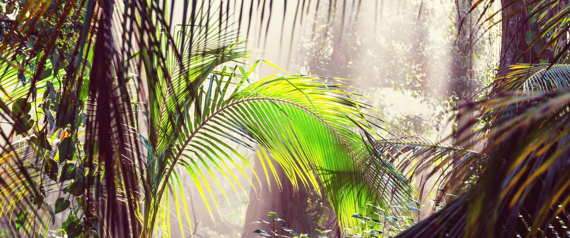 PANAMA  (+wyspy Bocas del Toro) – KOSTARYKA