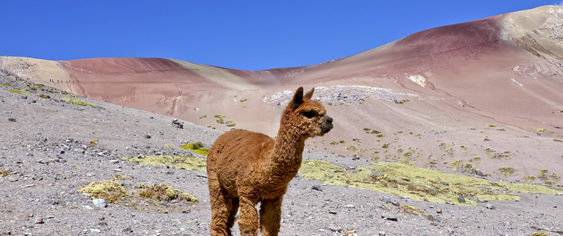 PERU - BOLIWIA (+Salar de Uyuni)