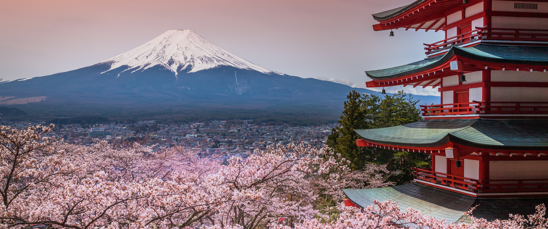 JAPONIA dla koneserów