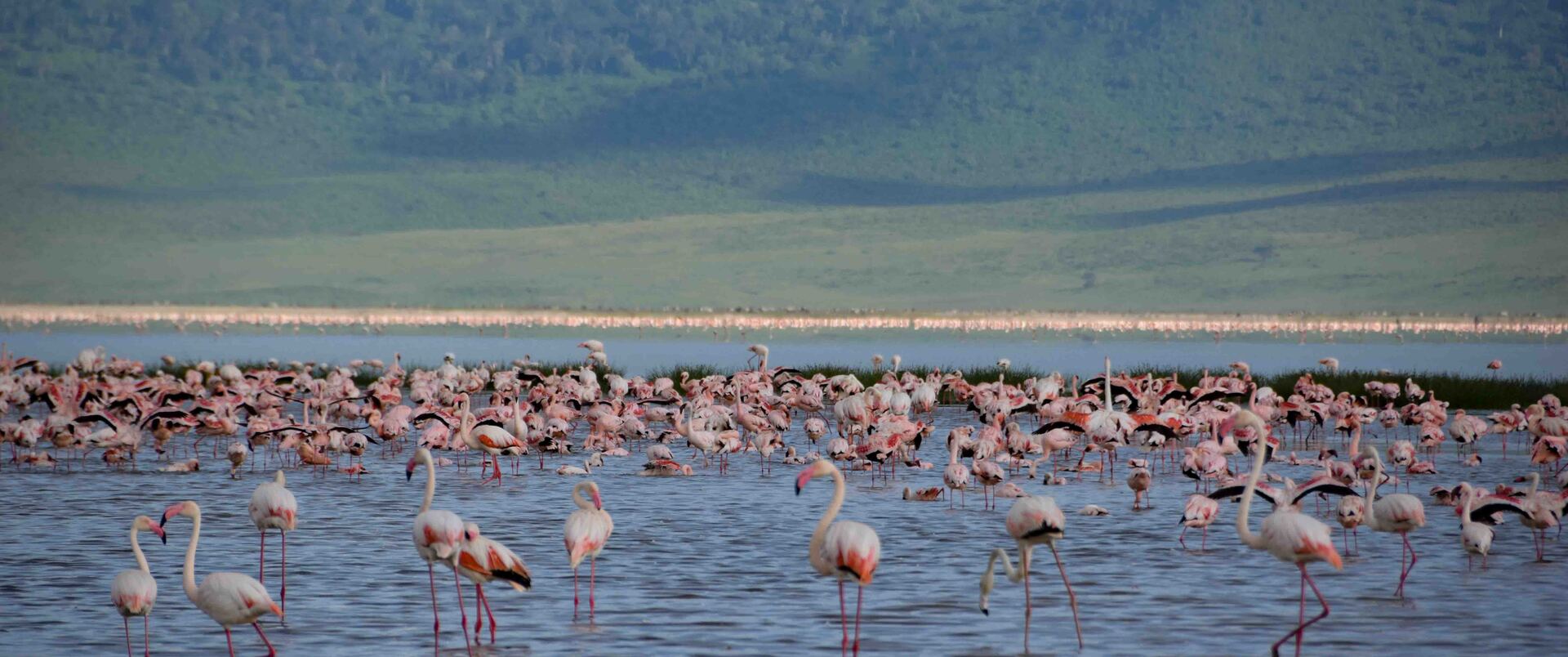 KENIA - TANZANIA (+ Wyspa Zanzibar)