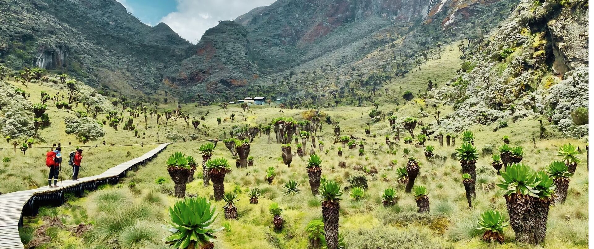 UGANDA (trekking w Górach Ruwenzori)