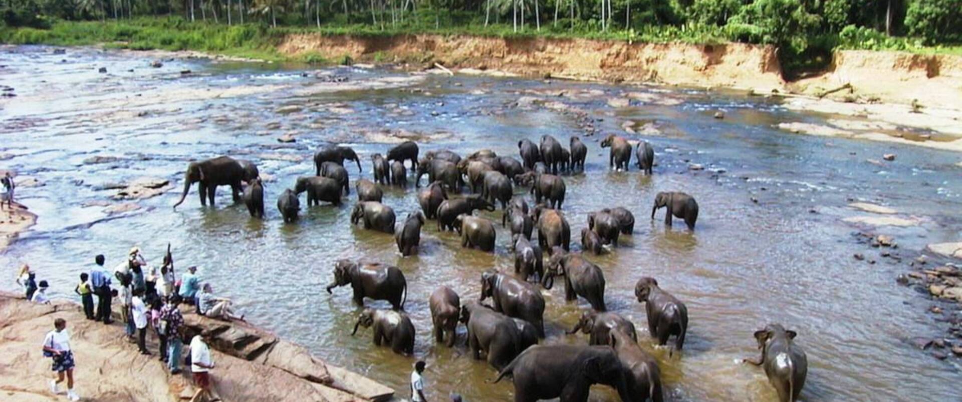 SRI LANKA - MALEDIWY