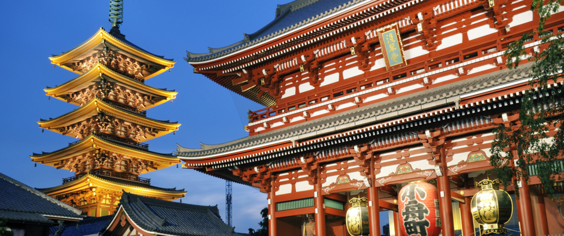 JAPONIA - 14 DNI