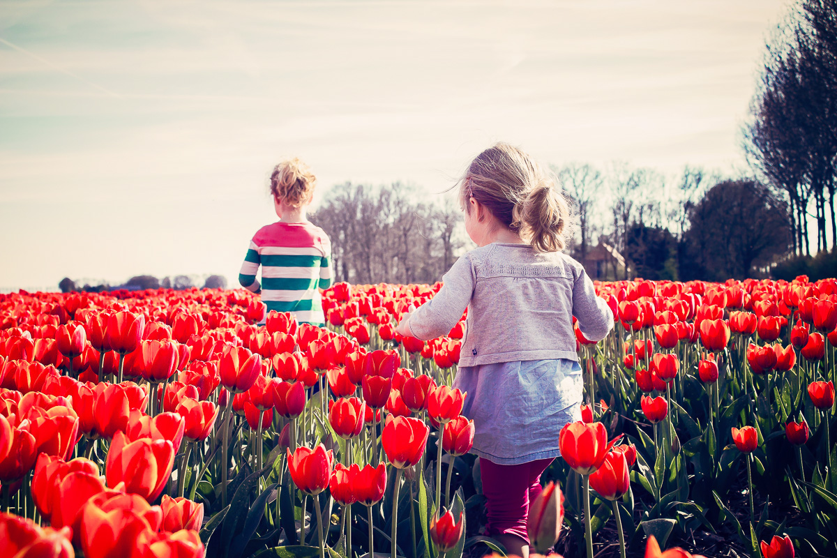 Amsterdam i tulipany z noclegiem