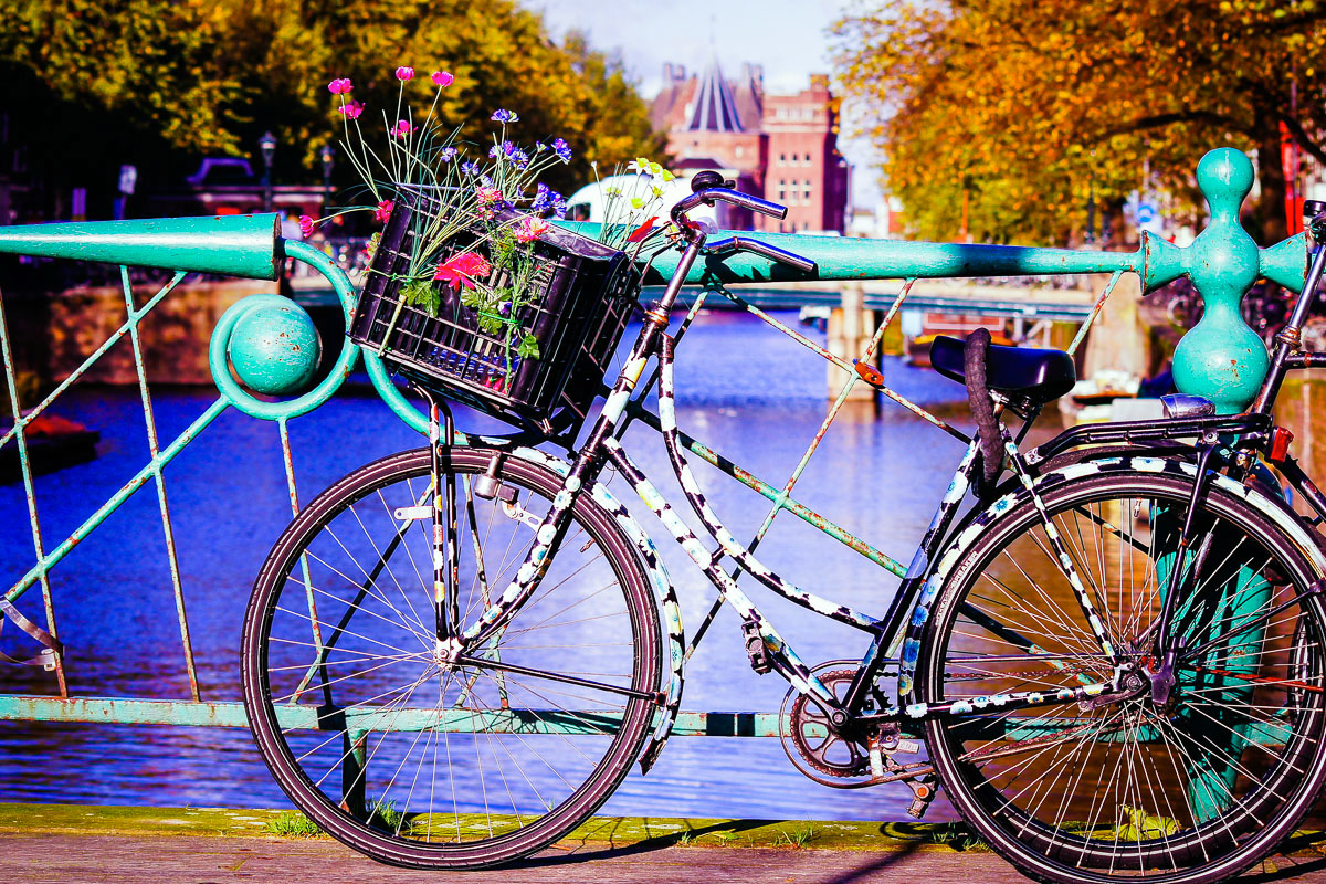 Amsterdam i tulipany z noclegiem